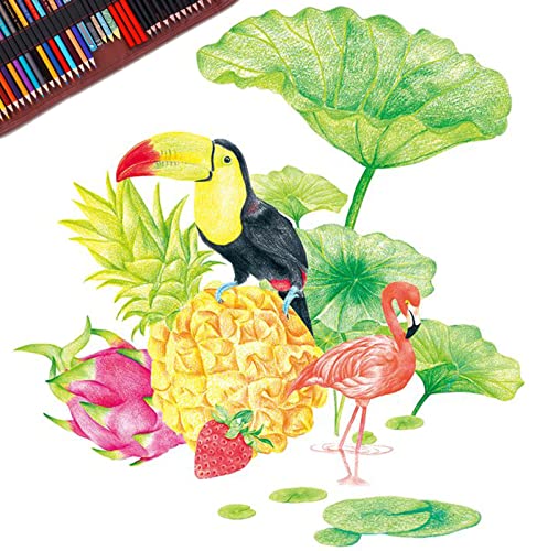 Heshengping Sketch & Drawing Art Pencil Kit-50 Piece Set, Include 24 Color Pencil(For Adult Kid Coloring Books) & Graphite Charcoal-Pencil Etc, Art Supply Ideal For Adult, Kid,Student, Beginner #TOP4