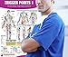 Trigger Point Therapy Chart/Poster Set; Acupressure Charts - Myofascial Trigger Points - Massage Therapy Charts - Muscle Pain Relief Posters - ... Neuromuscular Therapy - Physiotherapy Charts