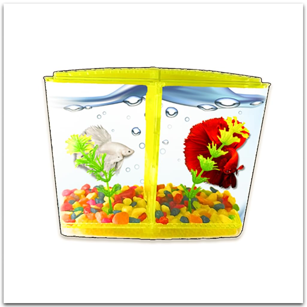 Double Betta Fish Tank for Aquarium kit - (Stylish Portable Table Aquarium Betta House) – with Artificial Plant Transparent Yellow Color - (8 x 4 x 5 inch) (B0CWLC5FT8) Amazon Price History, Amazon Price Tracker