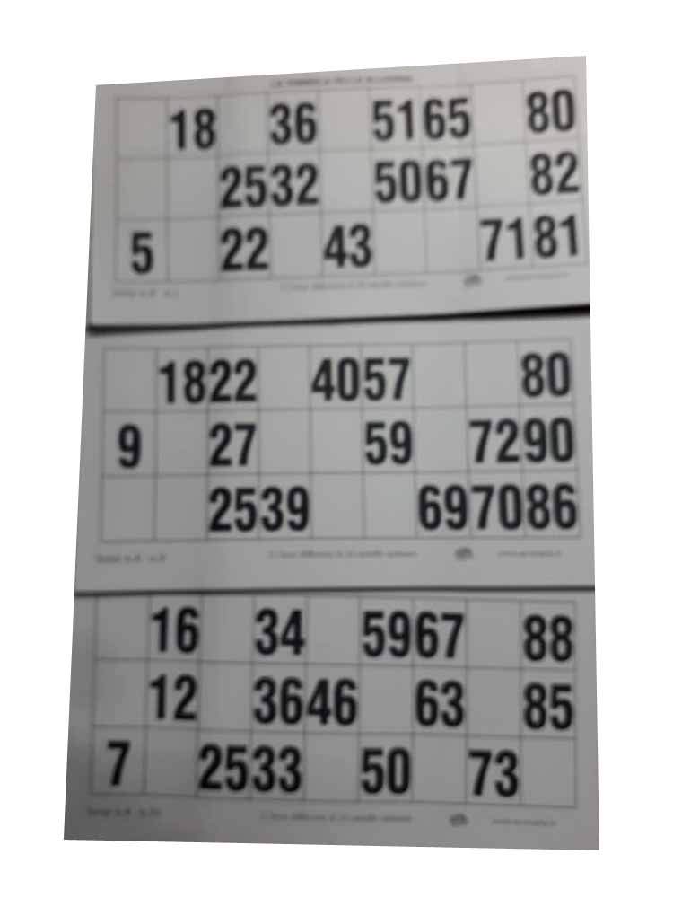 ricevi 288 Cartelle assortite Tutte Differenti Bianco e Nero Numerate Accessori per Tombola Tradizionale Napoletana Gioco Natale Giochi Societa' VAR