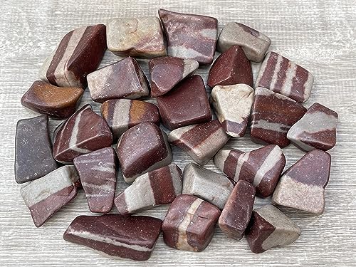 Image of GAF TREASURES 1 /2 LB Shiva Lingam Tumbled Stones, Polished Shiva Lingam Gemstone, Shiva Lingam Healing Crystals (Shiva Lingam)