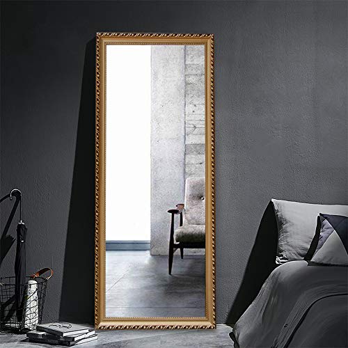 Image of NeuType 65 inchx22 inch Full Length Mirror Floor Mirror Wall-Mounted Mirror Bedroom /Locker Room Standing /Hanging Mirror Dressing Mirror (Gold, European Style)