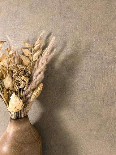 Newroom Papel Pintado Marrón No Tejido Aspecto Lino - Moderno Liso Estructura Textil para Salón Dormitorio