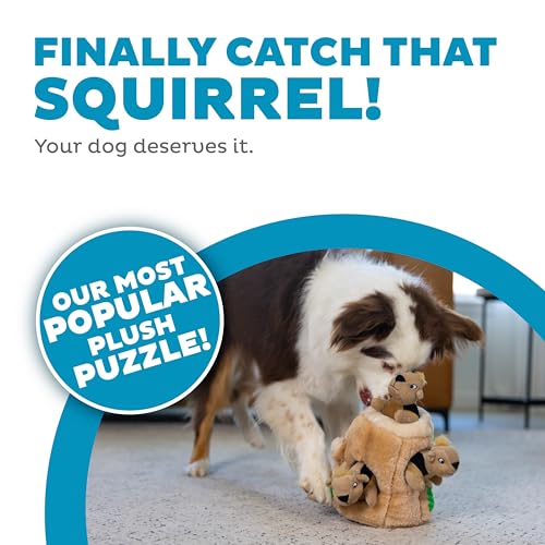 Image of Outward Hound Hide-A-Squirrel Plush Squeaky Dog Toy, Medium, 6.5 inch x 6.5 inch