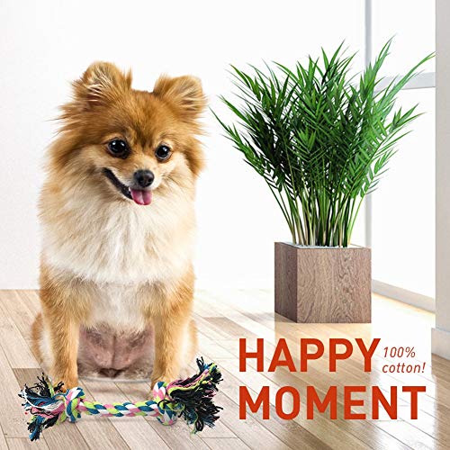 handfly 12 pcs Conjunto de Brinquedos para Cães Filhote de Cachorro de Algodão Corda de Brinquedo pa