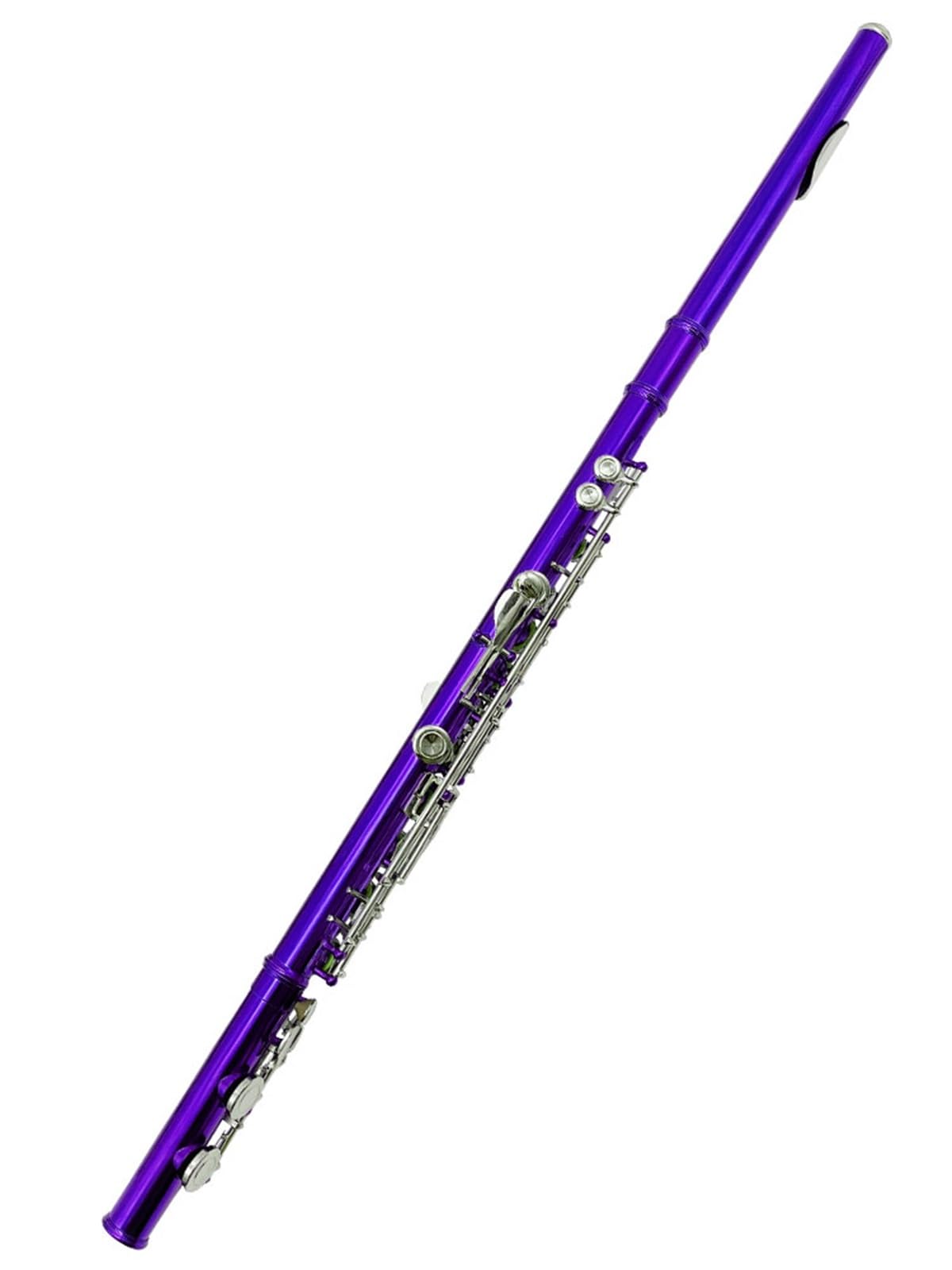 Flauta de 16 agujeros con llave CE y orificios cerrados color morado instrumento para principiantes Flauta Profesionales