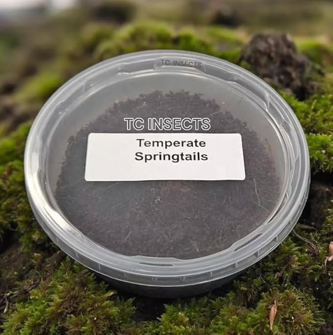 TC INSECTS Live Springtail (Temperate) Culture - 8oz