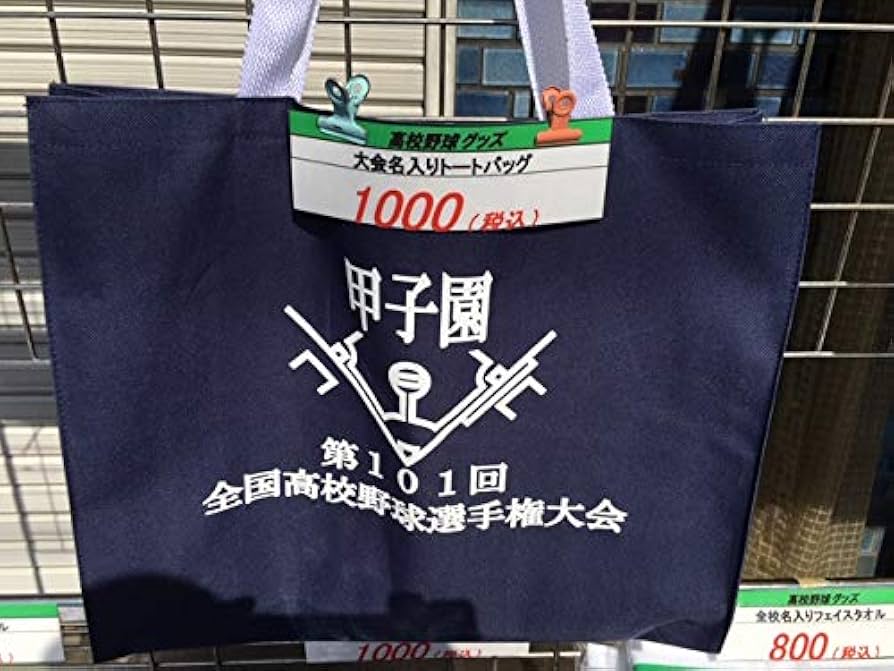 鳴門高校　第101回　甲子園使用記念バッグ 鳴門高校 第101回 甲子園使用記念バッグ