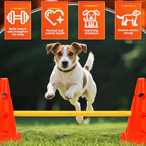 BHHTBB Agility Set Hunde Hürden Steckhürdenset Kinder, Hindernisse für Kinder Hunde Parcour zum Springen, Cavaletti Hund, 8 Kegel 32cm Höhe + 8 Stangen 80cm lang, für Trainingsübungen