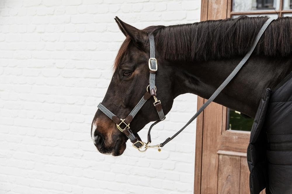 Cabezada para Caballos Nylon Trenzada Kentucky