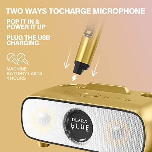Upgrade Karaoke Maschine für Erwachsene und Kinder, tragbares Bluetooth 2 UHF drahtloses Karaoke Mikrofon mit Halterung/USB/TF-Karte/AUX-in, PA-Lautsprechersystem für draußen/drinnen-Gold