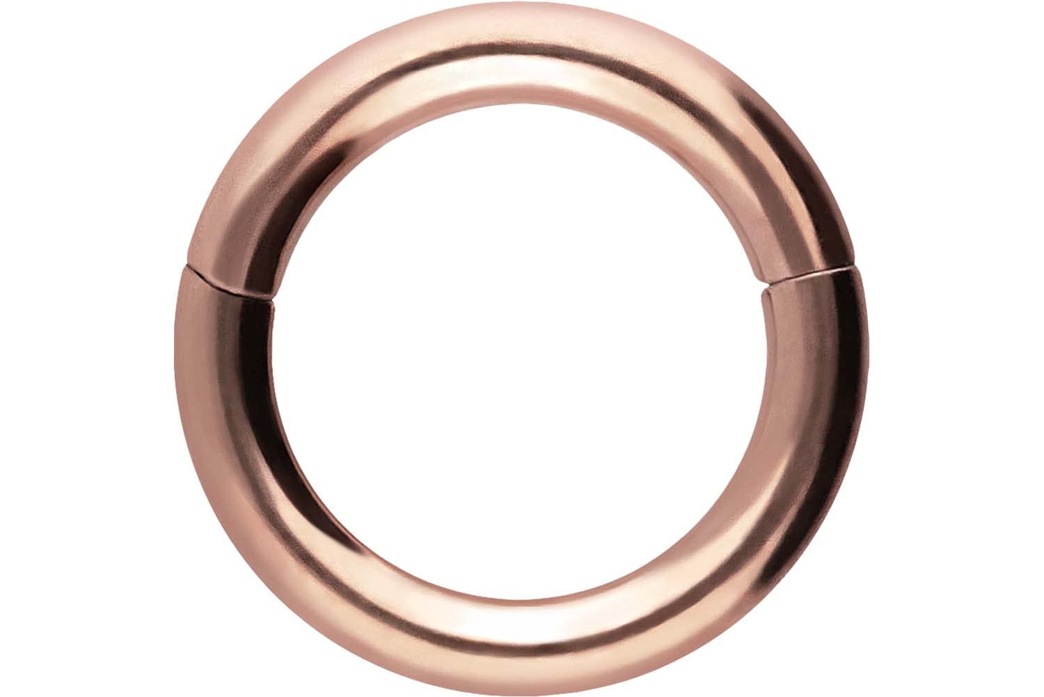PIERCINGLINE Anillo segmento Clicker de acero quirúrgico – Piercing en oro, plata, rosa, negro o azul – para nariz, tabique, oreja, hélice o tragus — view 93