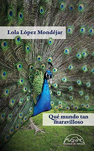 Qué mundo tan maravilloso (Voces / Literatura nº 262)