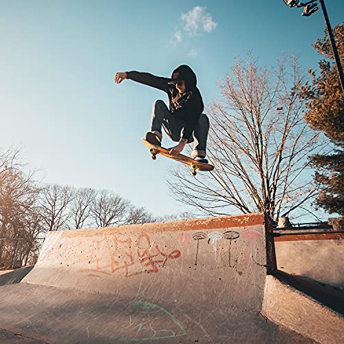 Image of FREEDARE Skateboard Wheels 52mm and Bearings, Spacers Installed 92A Street Wheels Skateboards Tricks(Pack of 4)