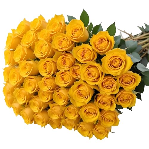 Arabella Bouquets 50 Yellow Roses Bulk Fresh Flowers thumb #1