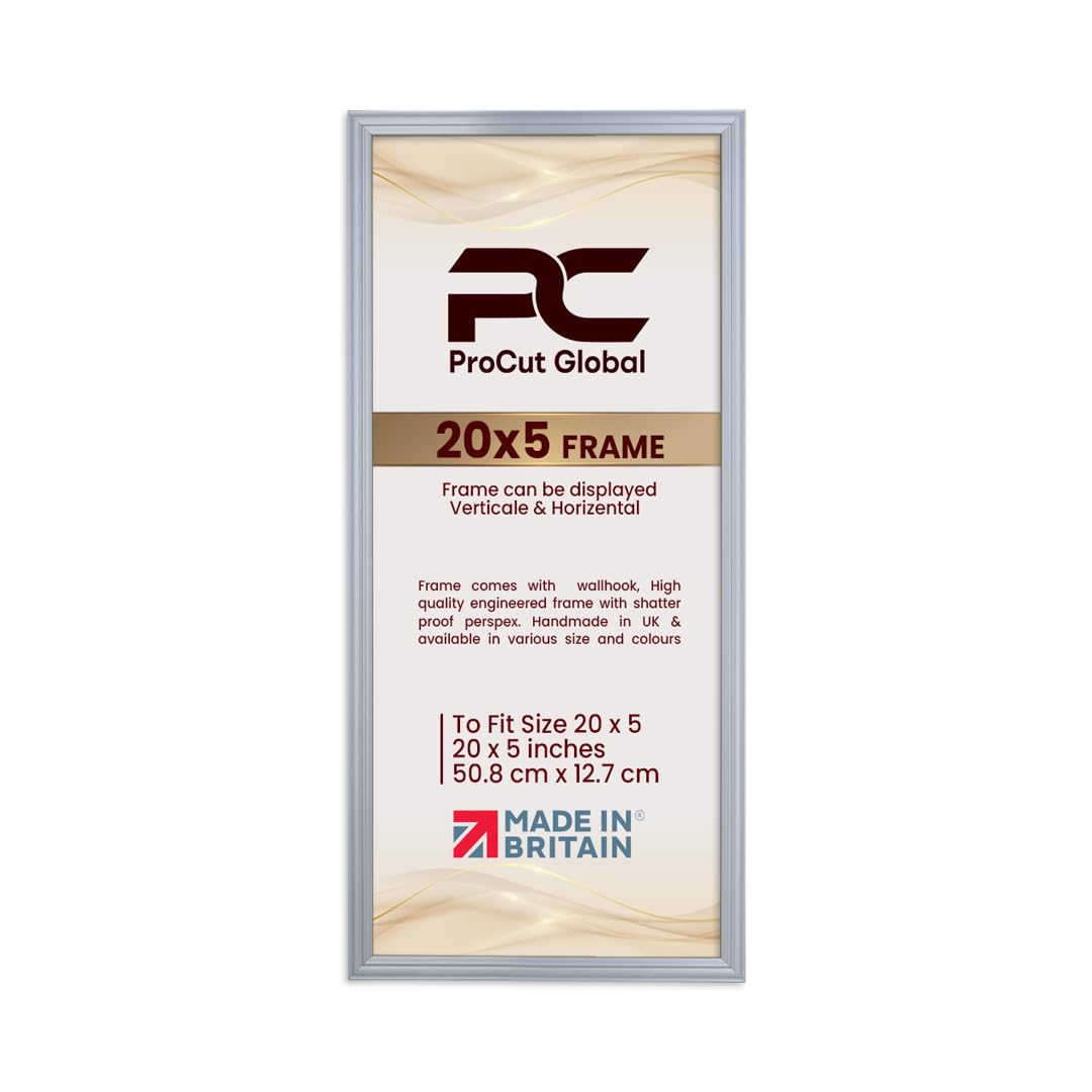Procut Global 20x5 Silver Picture Frames - Classic Wooden Photo Frame with Shatterproof Perspex for Wall or Tabletop - Perfect for Posters, Certificates & Prints - Sizes & Colors Available
