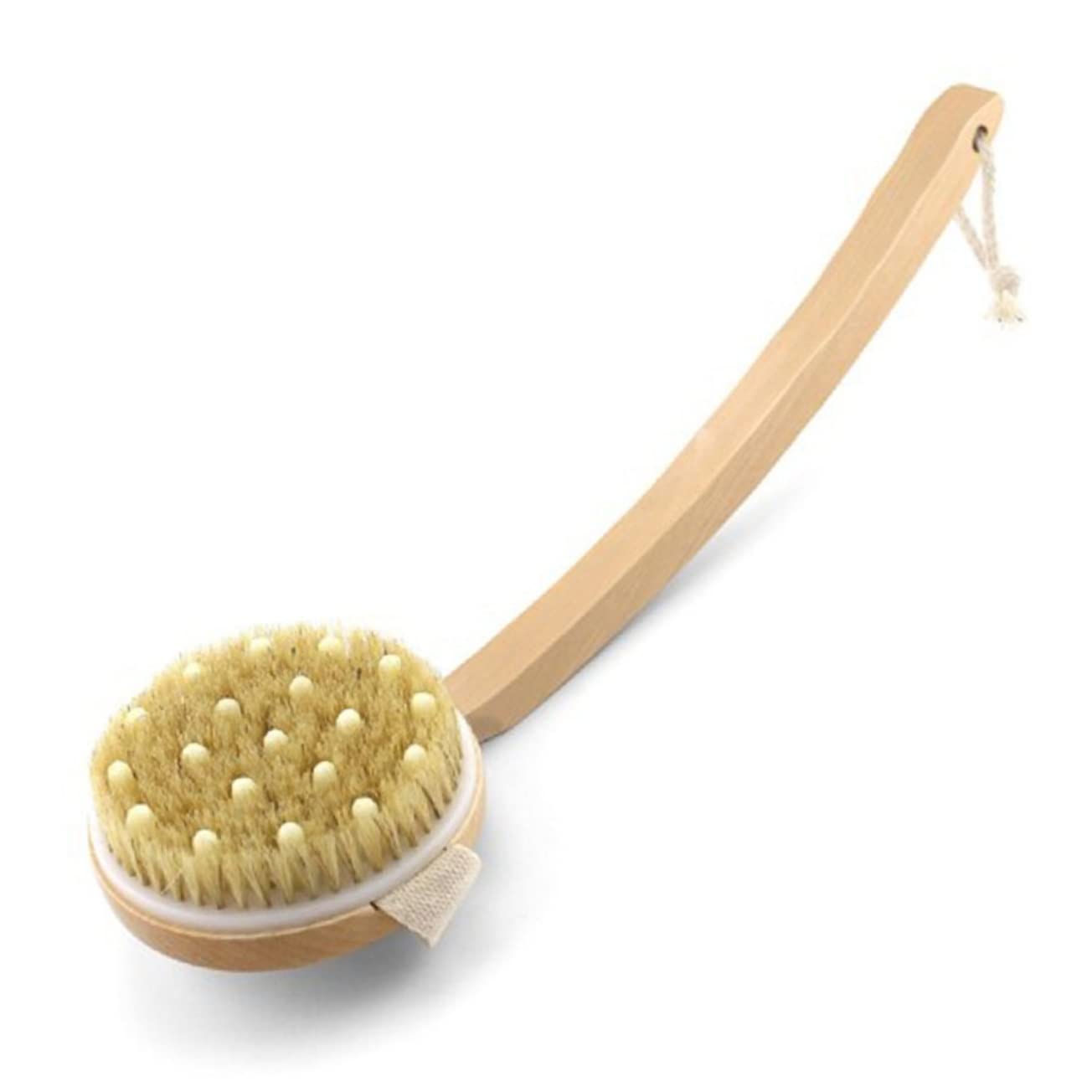 Healeved 2stücke Detachable Duschbürste Mit Naturborsten Und Gebogenem Holzgriff Exfolierende Körperbürste Für Sanfte Massage Und Peeling Für Beine Füße Und Rückenpflege Mit
