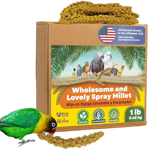 Birds LOVE Spray Millet – 1 lb GMO-Free, No Stems (Edible Tops Only) – Healthy Treat for Cockatiels, Lovebirds, Parakeets, Finches & Canaries