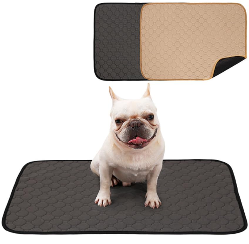 Tappetino Igienico LAVABILE Riutilizzabile, Pulizia Perdite Pipì, Colore CASUALE Nero Grigio Marrone, Cani Gatti Animali Domestici, Igienizzanti Disinfettanti, Zampe Manto, (GRANDE 60*90)