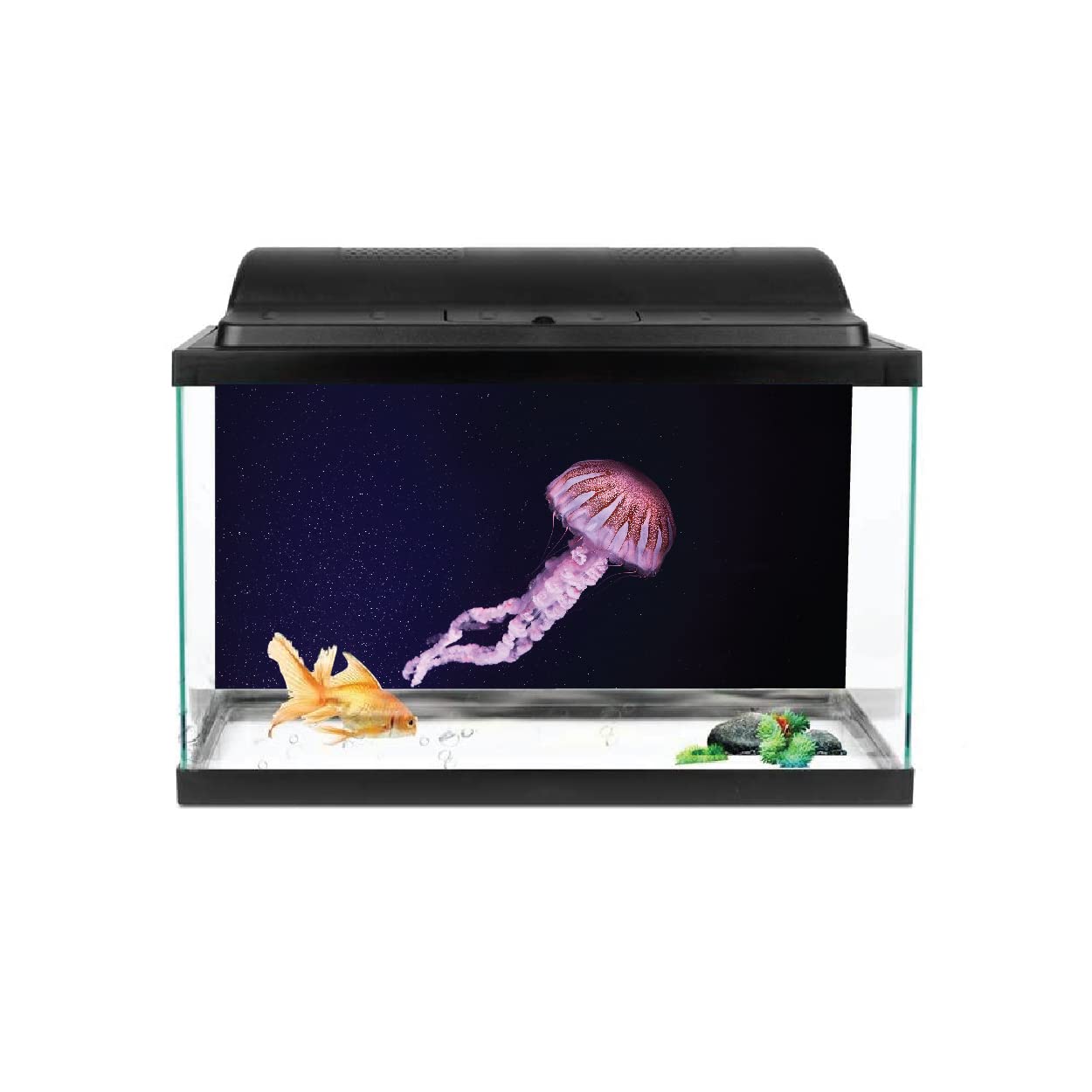 VVWV® Jelly Fish Aquarium Background Stickers for Fish Tank Waterproof Vinyl Printed Multicolored Plant Sticker (76 X 30 CMS) (B0BX5YWKJP) Amazon Price History, Amazon Price Tracker