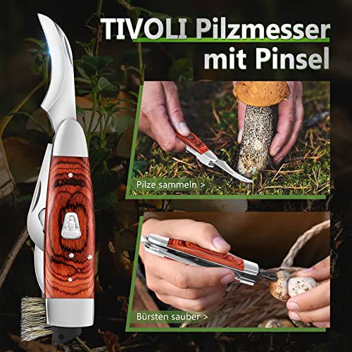 Pilzmesser Tivoli mit Bürste und Lederscheide für Pilzesammeln