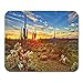 Produktbild 30X25Cm,Gummiunterseite Mausmatte,Pad Maus Unterlage,Gaming Mausepad,Kaktus-Saguaros Bei Sonnenuntergang In Der Sonora-Wüste Nahe Phoenix-Nichtlippengummi Mousepad, Büroartikel