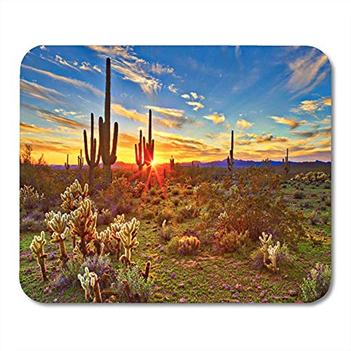 Preisvergleich Produktbild 30X25Cm,Gummiunterseite Mausmatte,Pad Maus Unterlage,Gaming Mausepad,Kaktus-Saguaros Bei Sonnenuntergang In Der Sonora-Wüste Nahe Phoenix-Nichtlippengummi Mousepad, Büroartikel