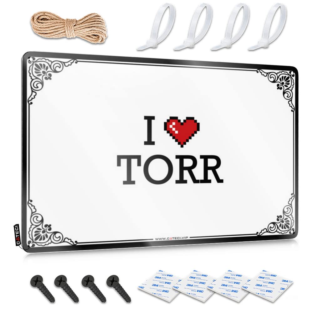 Matal Sign Designer Waterproof Artwork, Cute Retro Print For Cafe Pub Living Room | Door Decor Pre-drilled Custom I Love Torr(30X40CM)