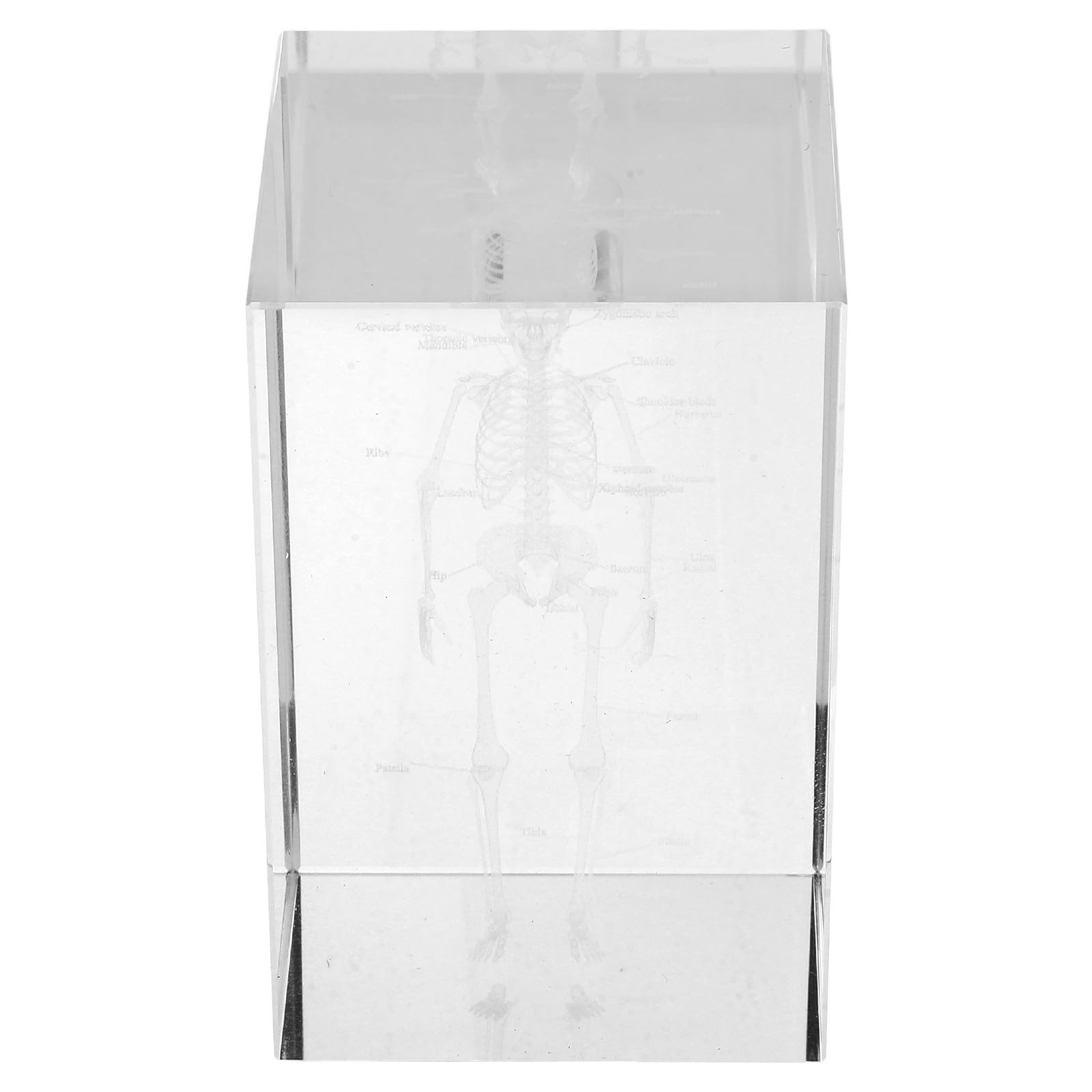 Modèle anatomique en cube 3D pour réviser et comprendre la médecine - 8