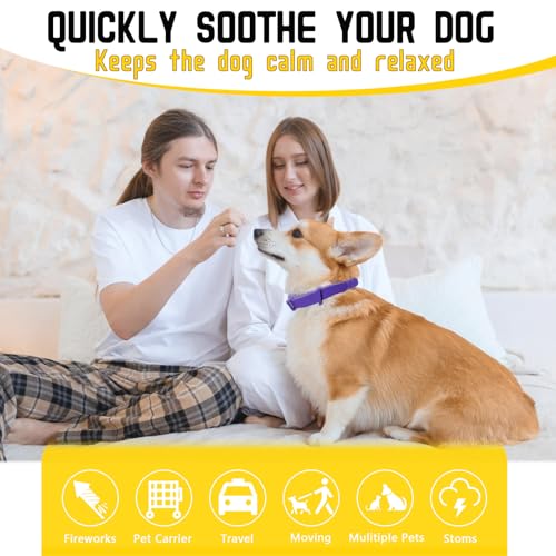 Image of 5 Pack Calming Collar for Dogs, Dog Pheromone Calm Collars Relief Anxiety Stress Separation Lasts 60 Days Relieve Bad Behavior, 25 in Size for All Small Medium and Large Dog (Purple)