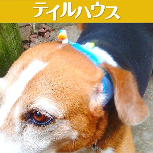 Amazon テイルハウス Tailhouse 耳上げサポーター たれ耳アップだワン 中型犬用 M ブルー Tailhouse テイルハウス 耳のケア 通販