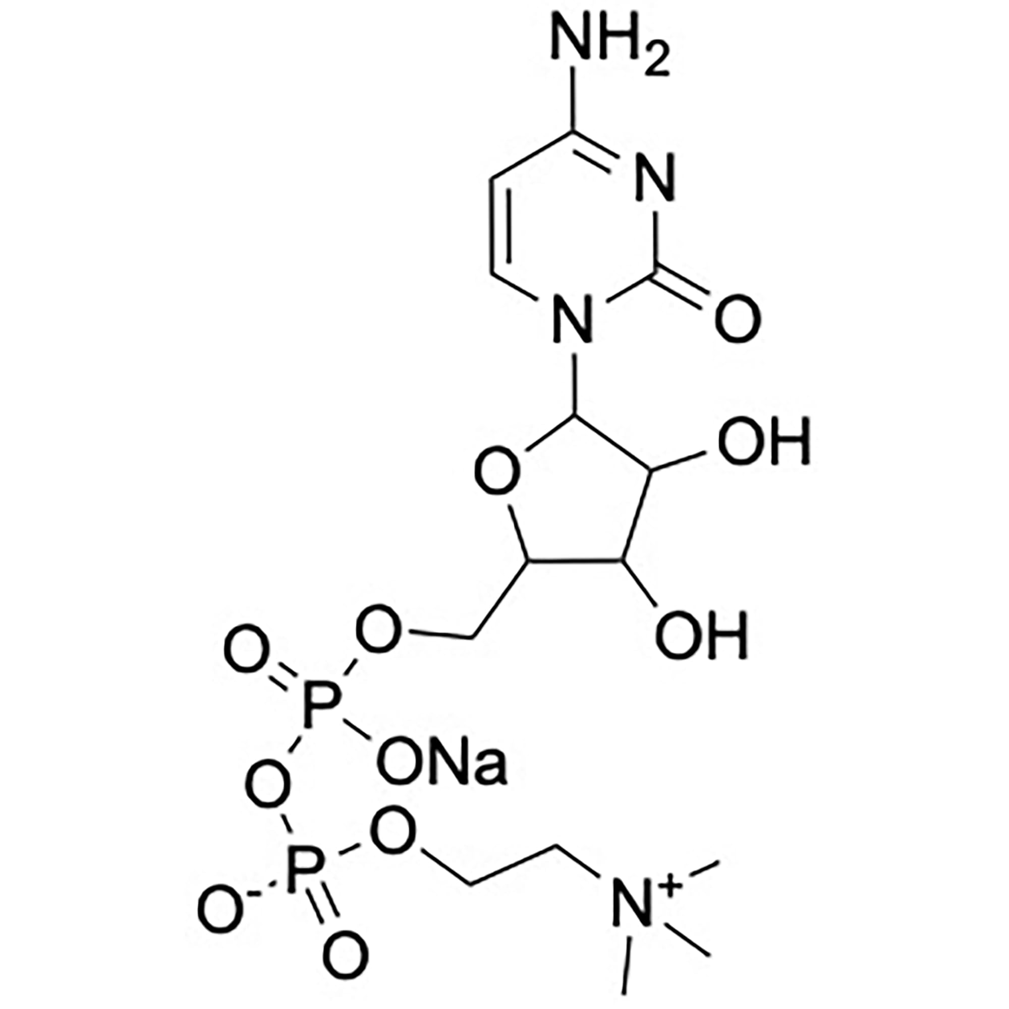 CITICOLINE 250mg CDP-Cholin – Hochdosiert & Vegan – 60 Kapseln – Ohne Zusatzstoffe – Hergestellt in der EU – Shanab Pharma