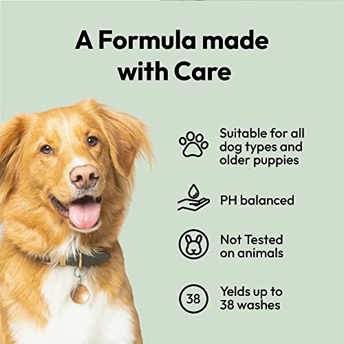 Belly Dog Shampoo for Sensitive Skin (250ml), All Natural & Hydrating with Aloe Vera, Chamomile & Vitamin B5 - Image 4