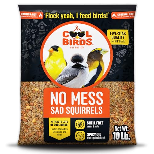 Cool Birds No Mess Sad Squirrels Hot Bird Seed – 10 lb. Spicy Shell-Free Blend with Peanuts, Sunflower Hearts & Chili Pepper Oil – No Waste, Squirrel-Resistant Bird Food for Outside Feeders