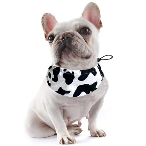 ybgpX֒pXobOpփCkRMǃ}WbNėp\ȗⓀybgpi (1)