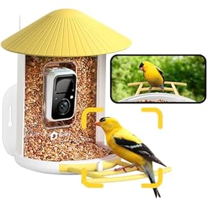 NETVUE by Birdfy AI Smart Bird Feeder with Camera, AI Auto Capture Each Bird Visit & Identify 6000+ Species, Cloud Store & Live Birdwatching, Ideal Gift (Yellow) Yellow AI