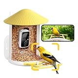 NETVUE by Birdfy AI Smart Bird Feeder with Camera, AI Auto Capture Each Bird Visit & Identify 6000+ Species, Cloud Store & Live Birdwatching, Ideal Gift (Yellow)