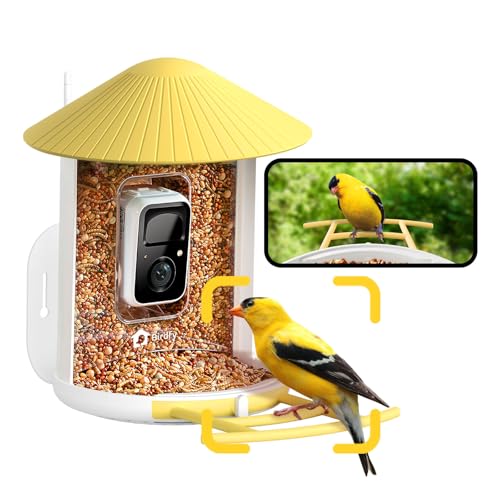 Image of NETVUE by Birdfy Smart Bird Feeder with Camera for Outdoor, AI Bird ID