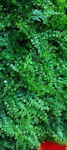 generico siepe artificiale felce