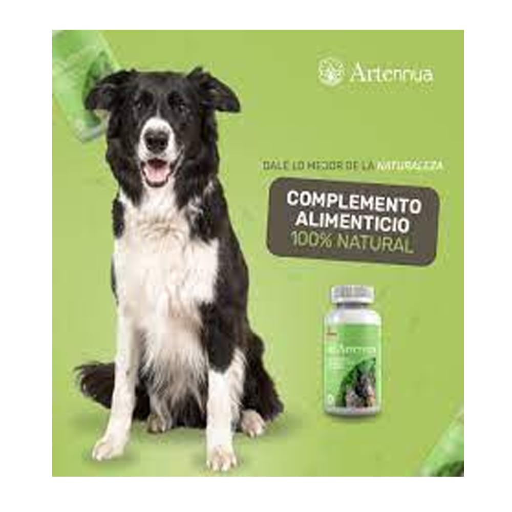 ARTENNUA 90 CAPSULAS