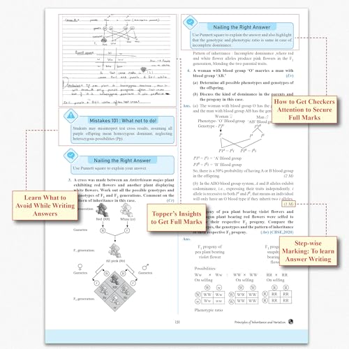 Image of PW CBSE Question & Concept Bank (QCB) Class 12 Physics, Chemistry, Mathematics and Biology COMBO Set of 4 Books Chapterwise & Topicwise Solved Questions For 2027 Exams