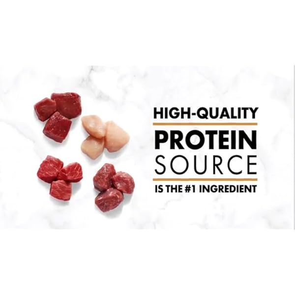 NUTRO NATURAL CHOICE Large Breed Adult Dry Dog Food, Lamb & Brown Rice