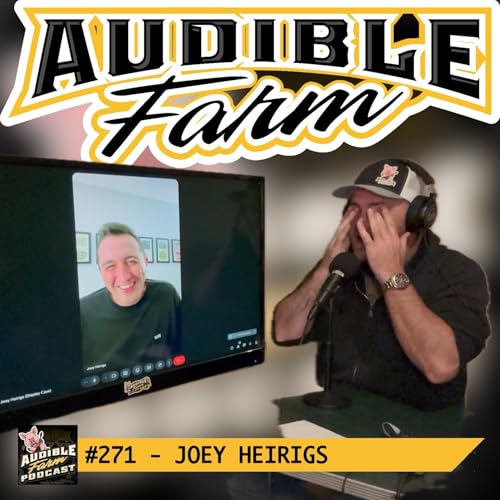 #271 - Joey Heirigs | From Junior High Jamming to Touring the United States with Display Case cover art