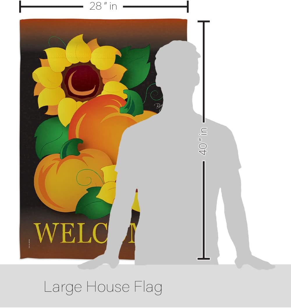 Breeze Decor H113029 Welcome Pumpkin Fall Harvest & Autumn Decorative Vertical Garden Flag, 28" x 40", Multicolor