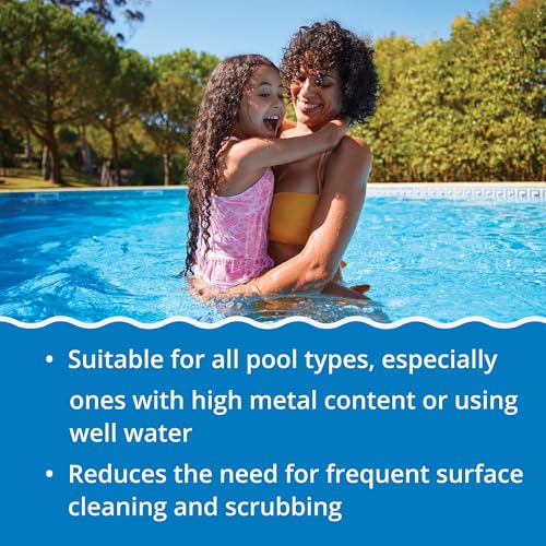 Image of In The Swim Super Stain Away - Ultimate Pool Stain Remover - 2 Quarts