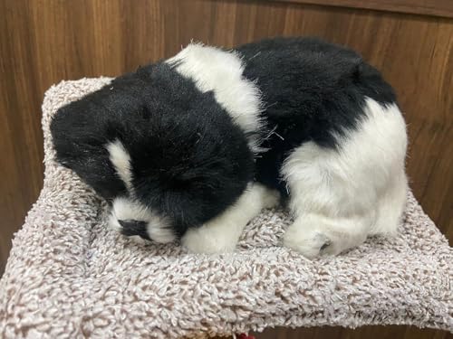 Image of MAHALRAJ Sleeping Dog Stuffed Toy - Sleeping Cute Dog for Car Auto Dashboard and Home Decor | Cute Car Interior Toy, Sleeping Puppy Black & White Stuffed Toy - Size (16cm X 14cm)