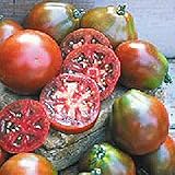 Japanese Black Trifele Tomato Seeds (25 Seed Packet) (More Heirloom, Organic, Non GMO, Vegetable,...