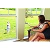 Saint-Gobain ADFORS Standard Screen, 36 Inches x 25 Feet Roll - Replacement Screen for Windows and Doors - Charcoal