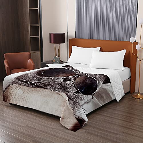 Odot Colcha Bouti de Verano, 3D Gato Estampado Suave Microfibra Multiusos Cubrecama Lavable Acolchada Edredón Manta para Cama de Infantil Individual Matrimonio (100x150cm,Gato Genial)