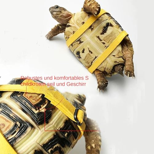 Schildkröten-Skateboard, Verstellbare Schildkrötenleine und lustiges Skateboard-Set, Trainingsgeschirr und Mini-Skateboard für Schildkröten, Schildkrötenhabitat-Zubehör